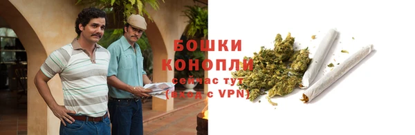 мяу мяу мука Белокуриха