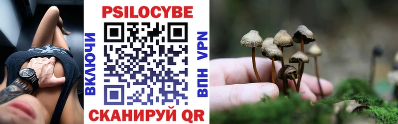 Псилоцибиновые грибы Psilocybe наркота Котельники